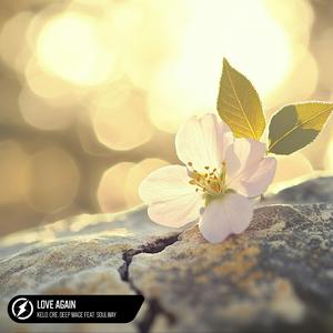 天天射天天操天天干
