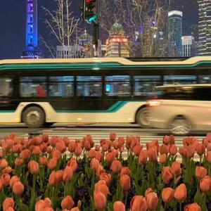 天天射天天操天天干
